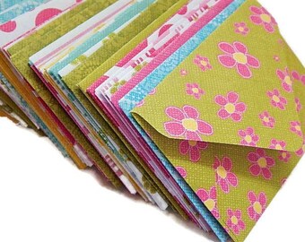 Assorted Mini Cards, Blank Cards, Gift Card Envelopes, Enclosure Cards, Love Notes, Advice Cards, Favors, Mini Envelopes with Note Cards
