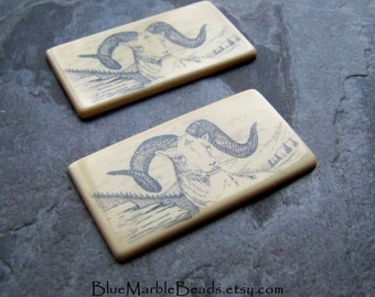 Ram Cabochon, Ram Tile, Etched Cabochon, Long Horn, Unique Cabochon, Lucite Cabochon, Picture Tile, 2 Pieces