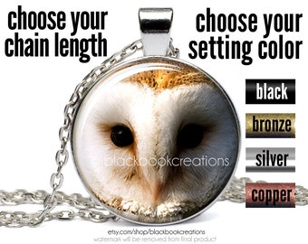 Barn Owl Necklace, Owl Pendant, Owl Face Jewelry, Handmade