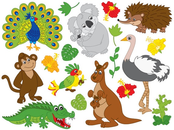 Download Australian Animals Clipart Vector Koala Clipart Kangaroo