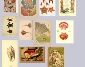 Washed Ashore Vintage Beach Ocean Ephemera Pack 45 Pieces
