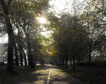 Autumn sun at The Level, Brighton