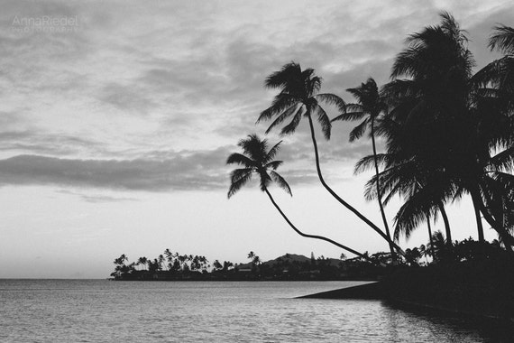 Items similar to hawaii fine art photography print coconut trees at sunset nature scene black and white beach wall art print 8x10 8x12 Items similar to hawaii fine art photography print coconut trees at sunset nature scene black and white beach wall art print 8x10 8x12