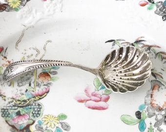 A pretty silver plated sugar sifter spoon
