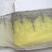 Yellow Tulle Lace Trim Retro Floral Embroidered Lace Trim 4.33 Inches Wide 2 Yards Costume Supplies