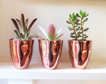 Copper ceramic planters, succulent planters, cactus pot, ceramic cups, rustic modern accent