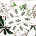 Ilex aquifolium to use as gift-tags for Yule, Christmas, Mid-Winter. Holly Gift Tags or Ilex Gift-tags. 9 tags.