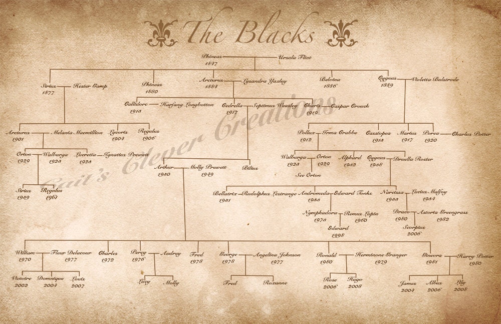 Harry Potter Wallpaper Black Family Tree