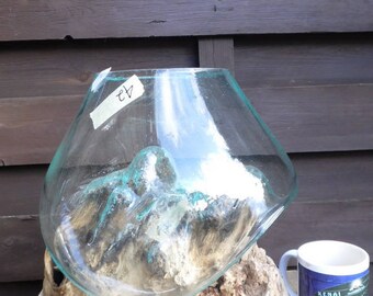 Liqva S, Dekoglas S, rootwood glass vase S, Liqvavase S gamal, root molten vase