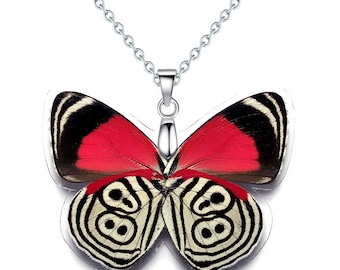 Real Butterfly Wing Necklace / Pendant (Whole Diaethria Clymena aka The 88 Butterfly - W043)