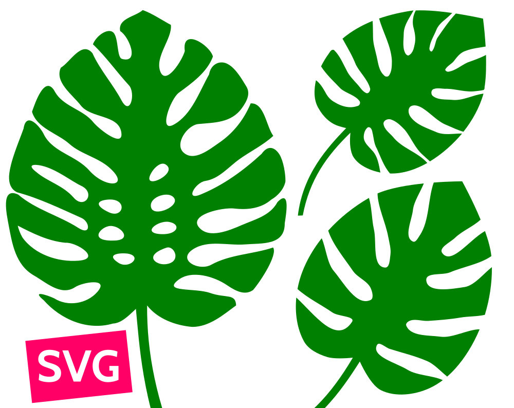 Download 3 Monstera Leaf SVG files for Cricut, SVG Bundle Monstera ...