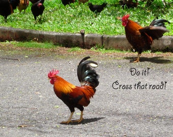 Do it, Cross that Road! A challenge to overcome!