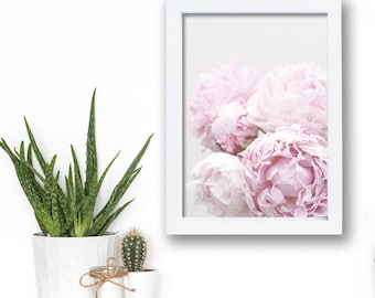 Botanical Blush Peonies #1 Frames Prints. Alchemist Collection.