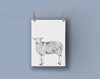 Sheep A4 Nursery Nursery Print
