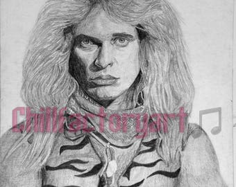 DAVID LEE ROTH