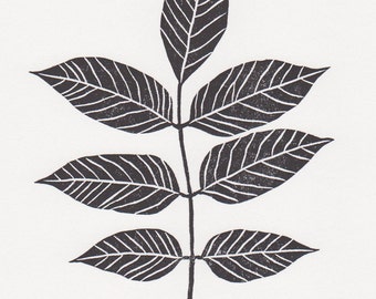 Block print: Ash tree leaf - limited edition hand pulled fine art block print, linocut print (5 x 7")