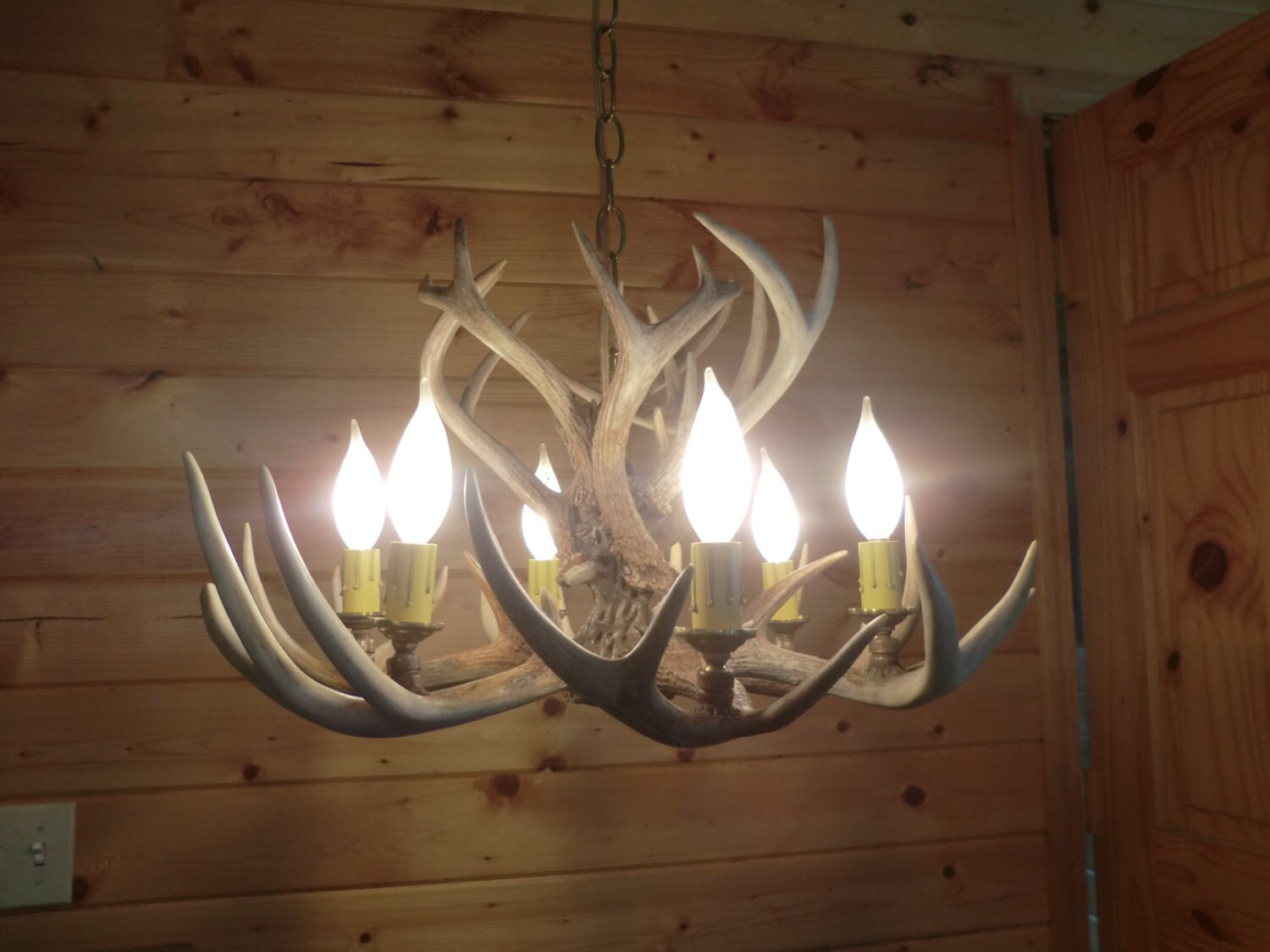 Deer Antler Chandelier 6 light real antlers