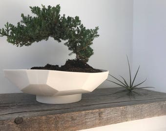 Geo Prism Bonsai Planter
