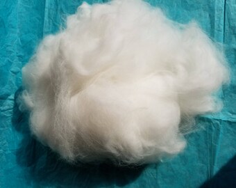 Pure white hand plucked French Angora