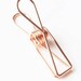 Skeleton Clip Binderclips Wire Fish Clip Clip for Laundry, Beach, Book and Towel | Rose Gold Copper | Vintage Style | Medium
