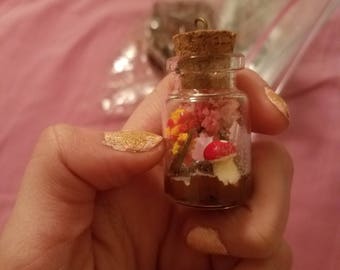 Fairy garden bottle