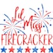 lil miss firecracker svg | 4th of July svg | Fourth of July svg | Patriotic svg | SVG | PNG | DXF | Digital Files