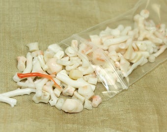 Grab Bag of Natural Coral Beads; Assorted Shapes • NTR820