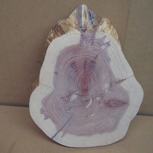 Cedar slab with pretty color, interesting knots, and nice shape.