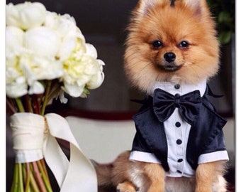 Wedding tuxedo for dogs Formal dog tuxedo Custom made dog suit