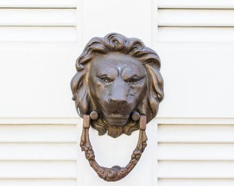 Lion Door Knocker in Charleston, SC Print