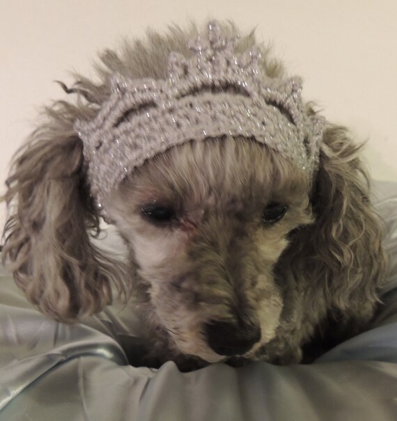 Items similar to Crochet Dog Tiara, Pet Tiara, Crochet Dog Crown