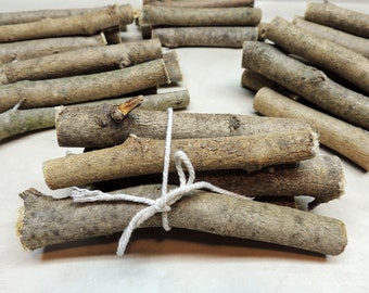6 Mulberry sticks 4" - 5 3/4" long, Pesticide free Pet treats, Chinchillas, Parrots, Rabbit treats, Animal stimulation,