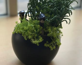 Handmade Clay Plant Decoration/Plant Buddy
