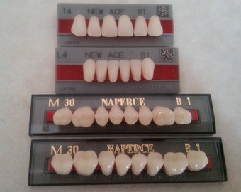 Upper and Lower False Teeth, Shade B1