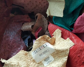 Exotic Leather - Genuine ostrich leather remnants, 1lb assorted ostrich scraps, **REAL LEATHER**