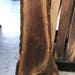 RESERVED-Walnut Slab
