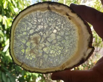 Large natural Brazilian agate slice, coaster, druzy, crystal