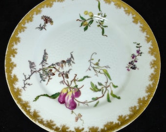 Rare Antique Haviland Limoges H & L Hand Painted floral pattern collectible Plate 1800s with Gold Trim 8.5 inch
