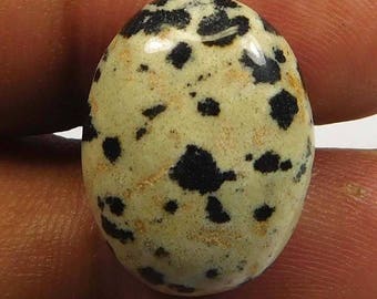 1 cabochon #38 leopard Jasper 22x16mm oval