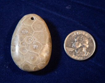 Petoskey Stone Pendant, drilled and polished.