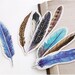 30 Pcs Colorful Feathers Bookmark - Die Cut Cardstock Scrapbook Embellishment Bookmark