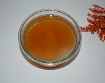 Organic 3" Kombucha Scoby With Starter Tea And Instructions 3 Inch Diameter Free Shipping