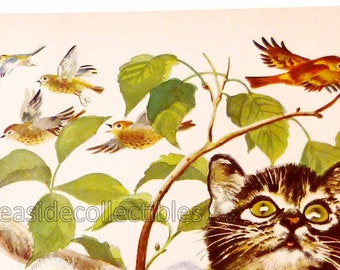 Kitten Chasing Birds Large Full Color 1940s Book Art Illustration by Feodor Stepanovich Rojankovsky