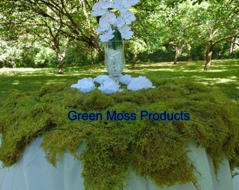 bulk sheet moss 12-14 Sq. Ft. Fresh sheet moss carpet moss real moss green sheet moss live sheet moss dry sheet moss beautiful green moss
