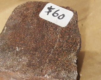 Beautiful Polished Red Dinosaur Bone Specimen