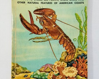 Seashores Golden Nature Guide Book