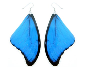 Real Blue Morpho butterfly wing earrings (LARGE SIZE) - Butterfly Wing Jewelry