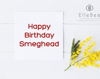 Funny Birthday Card / Cheeky Birthday Card / Humorous Birthday Card / Cheeky Birthday Card / Elle Bee