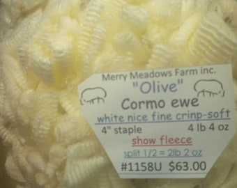 mmfwool 1158U (1/2) 4 lb 4 oz fleece "Olive" Cormo ewe 4" staple white nice fine crimp _soft