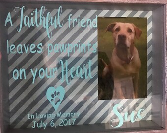 Shadow Box